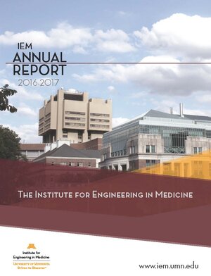 IEM Annual Report 2016-2017