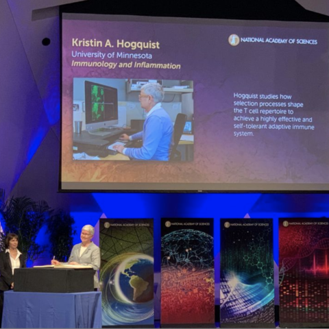 Kris Hogquist, PhD, officially inducted into the National Academy of Sciences
