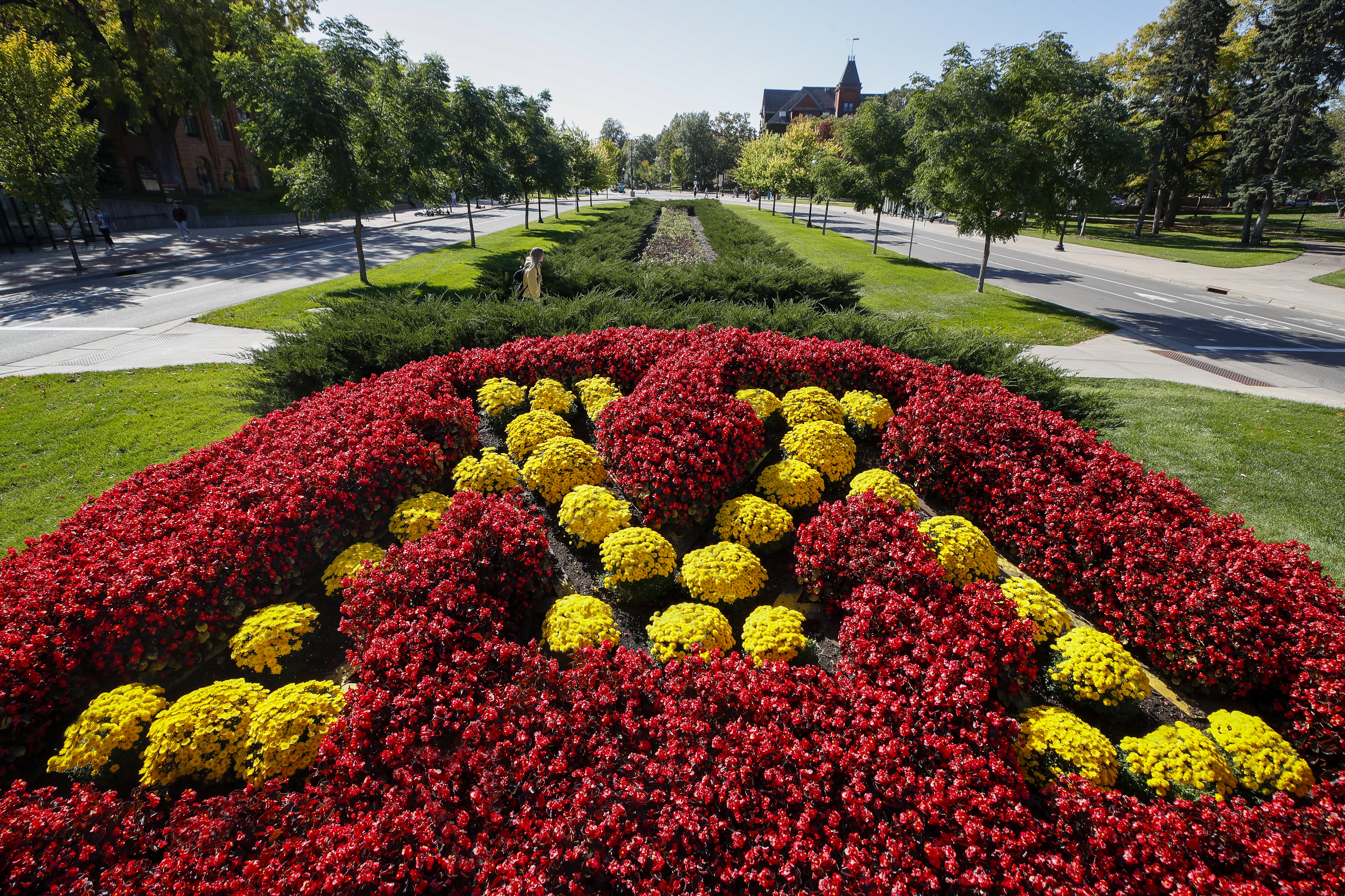 University of Minnesota "M" symbol represented in a garden of maroon & yellow flowers.