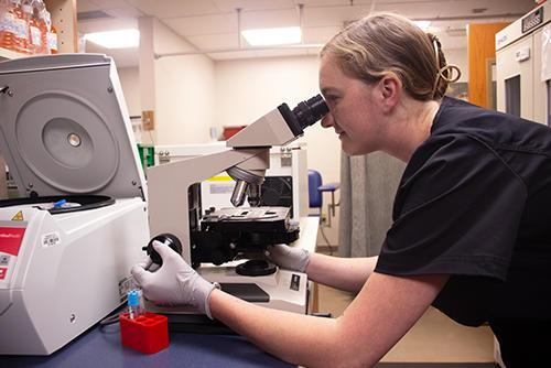 A Duluth lab technician looking at a sample