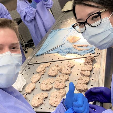 PM&R residents doing brain dissections
